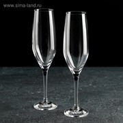Набор бокалов для шампанского Bohemia Crystal «Аморосо», 200 мл, 2 шт фото