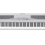 Цифровое пианино Korg SP-280 (WH)