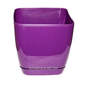 Горшок пластиковый “Тоскана Квадрат“ 13 фиолетовый 0731-005 фотография