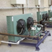 Проектирование,монтаж,сервисное обслуживание холодильного оборудования фото