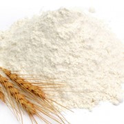 Глютен (пшеничная клейковина) фотография