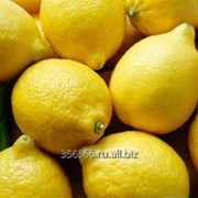 Лимон промышленный для производства фото
