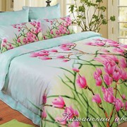 Комплект постельного белья китайский цветок