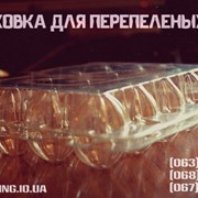 Самая прочная и многоразовая упаковка для перепелиных яиц в Украине фото