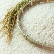 Рис, рисовые крупы, иная зерновая продукция, подсолнечное масло фото