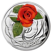 Роза - Серебряная монета в открытке-блистере фото