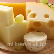 Закваска для сыра Пропионик (PROPIONICI )