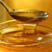 Мед. Мед натуральный, Мед, продукты пчеловодства, мед майский, мед цветочный, мед акация, мед липа, мед гречка. Прополис. Пчелиная пыльца. Маточное молоко. Пчелиный яд. Подмор (тело пчелы). фото