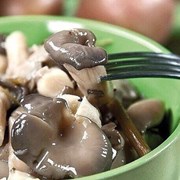 Вешенка элитная фото