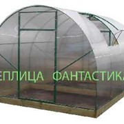 Теплица Фантастика фото
