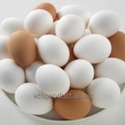 Яйцо диетическое *360 (Д1) фото