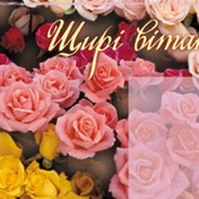 Двойная открытка евроформата Открытки с ароматом цветов (105х205 мм) в упаковке с конвертом. Прикоснитесь к букету и Вы почувствуете прекрасный аромат роз.