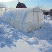 Теплицы Агро, Титан, Сибирская, Престиж, Импласт . Труба оцинкованная 20х20 или 40х20. шаг 1 м и усиленный каркас с шагом 67. Доставка - 1630-152-2 фото