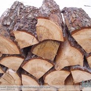 Отходы древесины,дрова фото