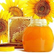 Мёд подсолнечный. Бесплатная доставка по Харькову +100 г другого сорта
