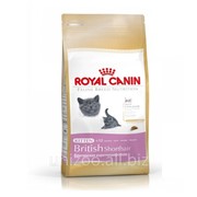 Корм для котят породы Британская Короткошерстная Royal Canin British Shorthair Kitten 2 кг фото