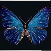 Картина Синяя бабочка с кристаллами Swarovski (2377) фотография