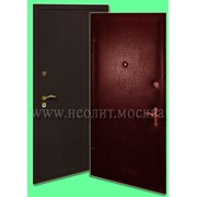 Стальная дверь Порошок-1 фото