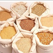 Международная торговля. Экспорт зерновых. фото