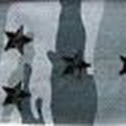 Фальш погоны МВД Капитан (КМФ камыш голубой) фото