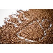 Кофе Santos Бразилия 100% натуральный растворимый сублимированный 1кг фото