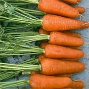 Семена моркови Редко F1 400 шт. фотография