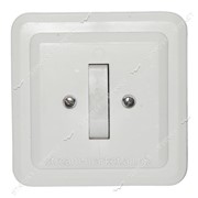 Выключатель внутренний с узкой клавишей У-1 6А. 250В. №169730 фото