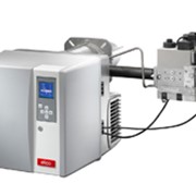 Газовая горелка ELCO, типоряд Vectron фото