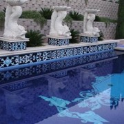 Мозаичные узоры для бассейна фото