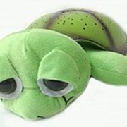 Ночник проектор звездного неба Музыкальная черепаха Music Turtle Green зеленая фото