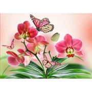 Стразы Розовые орхидеи. Частичная выкладка, 54x40, Leisuretime фото