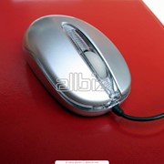 Мышь компьютерная фото