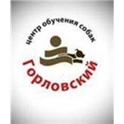 Центр обучения собак