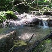 Воды негазированные Прикарпатско-Збручанская