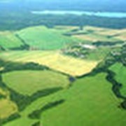 Дачные участки фото
