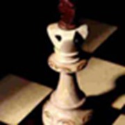 Дистанционное онлайн-обучение шахматам фотография