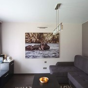 Натяжные потолки матовые, бельгийское полотно фото