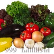 Доставка продуктов питания фото