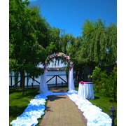 свадебная арка фото