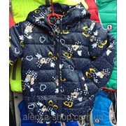 Детская куртка ветровка на девочку Микки 92-116 синии с сердечками, код товара 254577463 фото