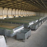 Проектирование цеха с линией сушки семян фото