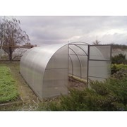 Теплица СИБИРСКАЯ сварная Элит 6х3х2 фото