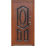 Двери входные домовые Toodoors Premium 03-02