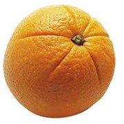 Померанец, горький апельсин, опт фотография