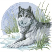Волк |Канва с рисунком|