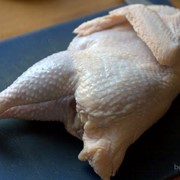 Суповая курица (несушка) фото