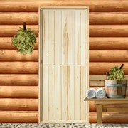 Дверь для бани 'Эконом', 160x70см