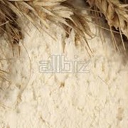 Мука пшеничная первого сорта фото