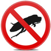 Уничтожение тараканов. Борьба с тараканами в квартире, доме фотография