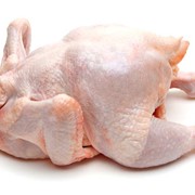 Тушка бройлера фото